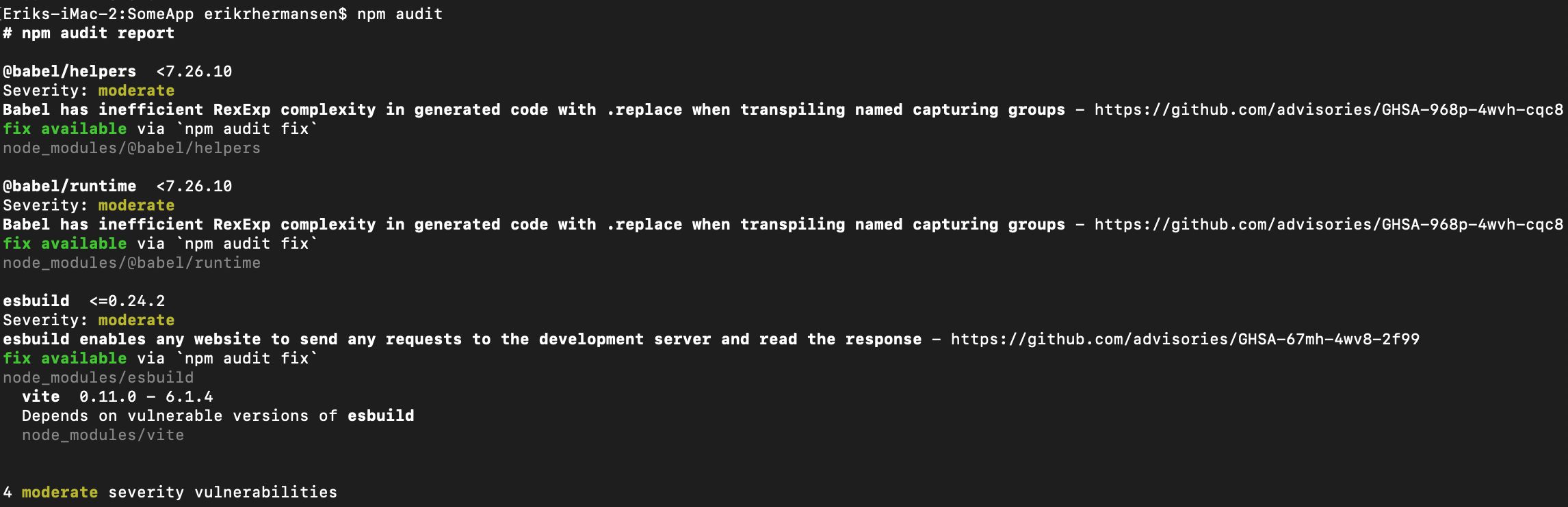 terminal showing npm audit unhappiness